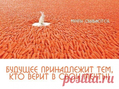 Многие современные компании стали использовать сетевой маркетинг для продвижения своего товара, так как поняли, что многоуровневый сетевой маркетинг выгоднее целой веренице посредников, которые просто наживаются на уже созданном готовом продукте за счет наценок и накруток.
Наша компания успешна, продвигаемся в онлан проекте, вам интересно пишите: masha.golovenkova@yandex.ru или скайп: sitora.ru1