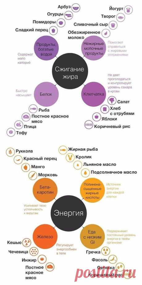 ПОЛЕЗНЫЕ КАЧЕСТВА ПРОДУКТОВ