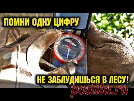 Как правильно пользоваться КОМПАСОМ без карты/@CorcoranALОриентирование/Азимут