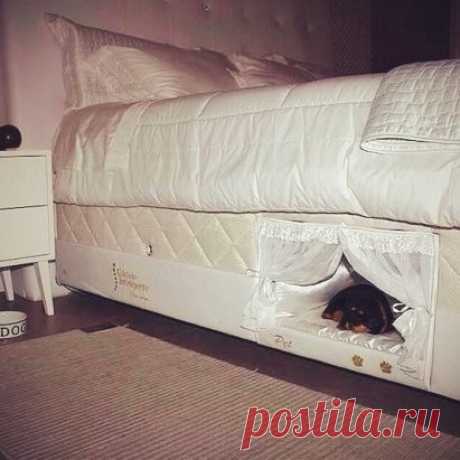 Спокойной ночи