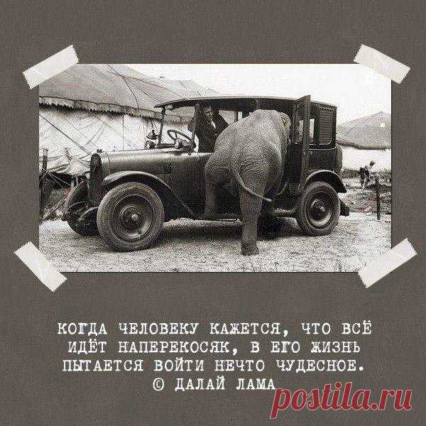 Фото на I.UA даааа!!!!