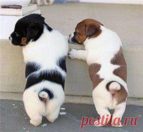 Необычный дизайн | Интерьер, Креатив, Арт, Декор