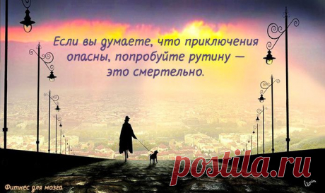 Одной фразой – Фитнес для мозга
