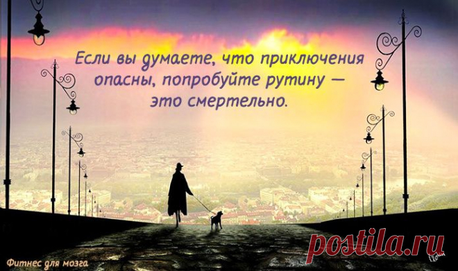 Одной фразой – Фитнес для мозга