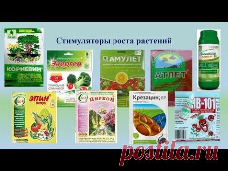 #СТИМУЛЯТОРЫ_РОСТА И ЦВЕТЕНИЯ ДЛЯ ОРХИДЕЙ И ДРУГИХ ЦВЕТОВ #ЭПИН #ЦИРКОН #44 #oldenburgru - YouTube