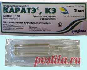 Каратэ - препарат от вредителей