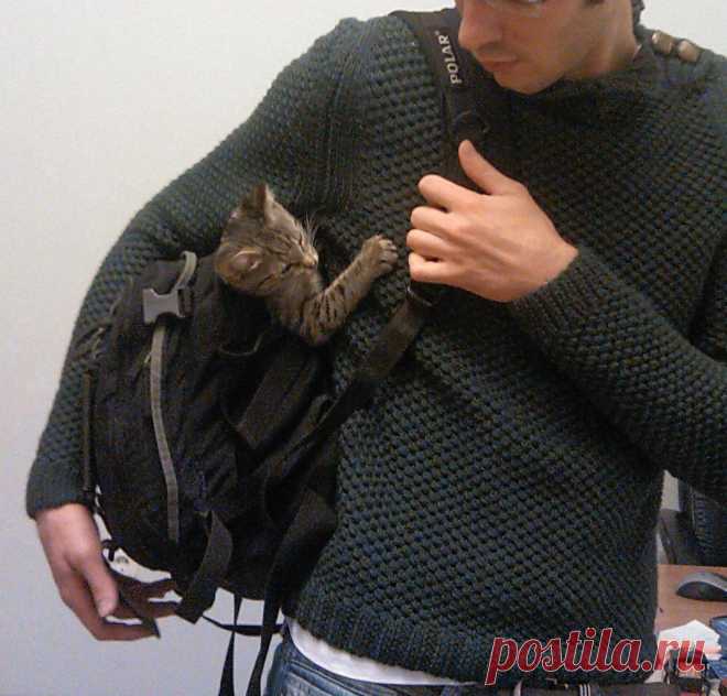 "Болгарский крест" - свитерок любимому от D&G