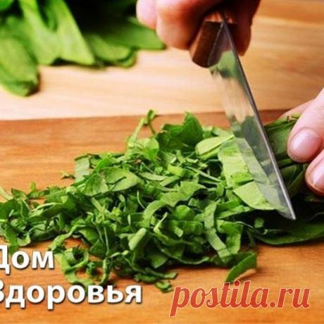 ПОЛЕЗНЫЕ СВОЙСТВА ЩАВЕЛЯ