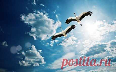 Мой Мир@Mail.Ru