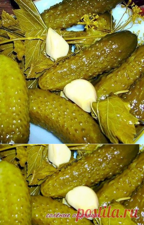 (57) Одноклассники