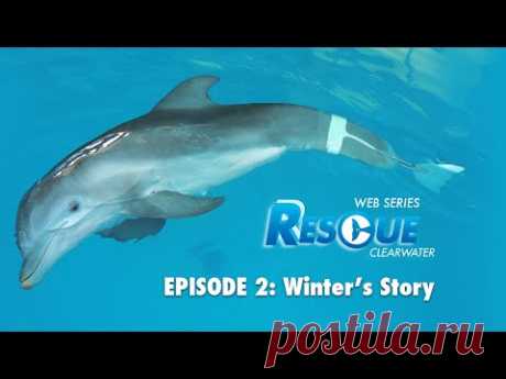 Rescue-Clearwater Episode 2: Winter's Story