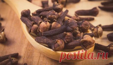 Наследие древней Аюрведы: 10 полезных пряностей