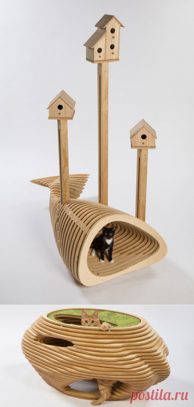 Architects for Animals (трафик) / Для питомцев / ВТОРАЯ УЛИЦА
