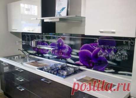 Стеклянные панели с принтами для кухни — Наши дома