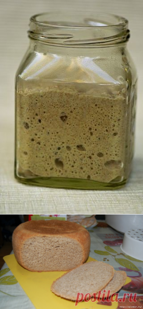 Рецепты заквасок: ржаная, изюмная, кефирная, зерновая, хмелевая