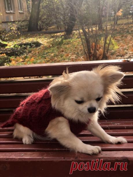 А мы не будем мёрзнуть на прогулке!!