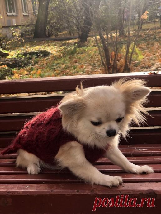 А мы не будем мёрзнуть на прогулке!!