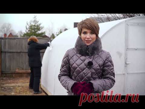 Теплица Тюльпан-Антишторм на даче. Часть 1