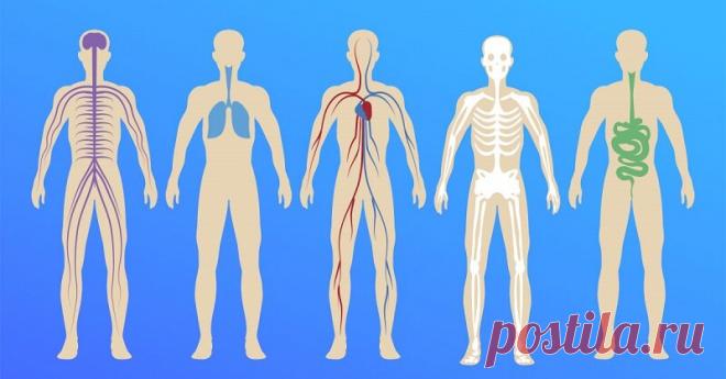 Полный список работающих лекарств, которые должны быть в доме. Сосудистые препараты — если в доме есть пожилые люди. У каждого человека в доме наверняка есть аптечка. У кого-то это специальный шкафчик или коробка, у других — просто полиэтиленовый пакет с лекарствами. Состав домашней аптечки часто оставляет желать лучшего: там хранится масса лекарств, которые остались от перенесенных заболеваний, попадаются таблетки с истекшим сроком годности и без упаковки.