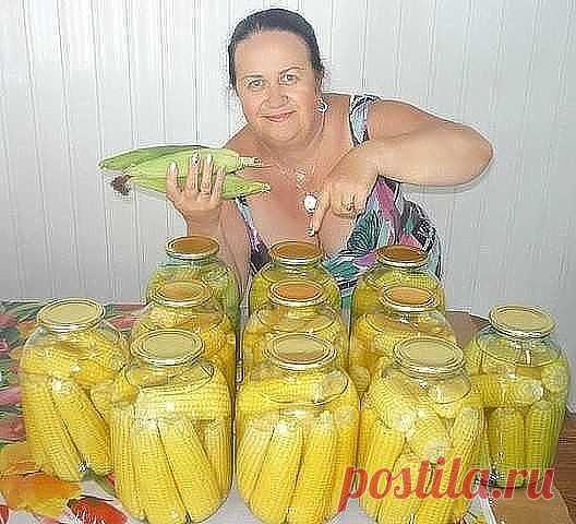 (43) Одноклассники