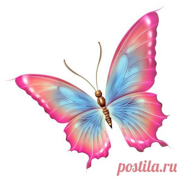 Картинки для творчества | 1 772 фотографии | ВКонтакте