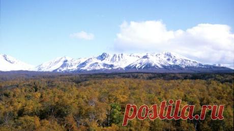 Адвокаты обжалуют приговор по делу о растрате в Кроноцком заповеднике