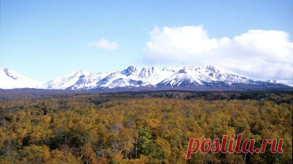 Адвокаты обжалуют приговор по делу о растрате в Кроноцком заповеднике