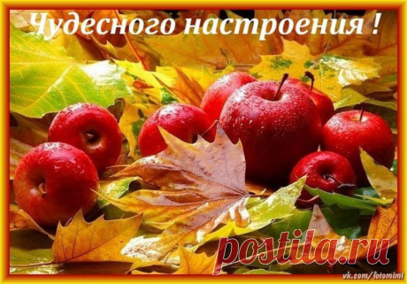 ЧУДЕСНОЙ ОСЕНИ