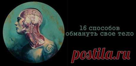 16 способов обмануть своё тело -