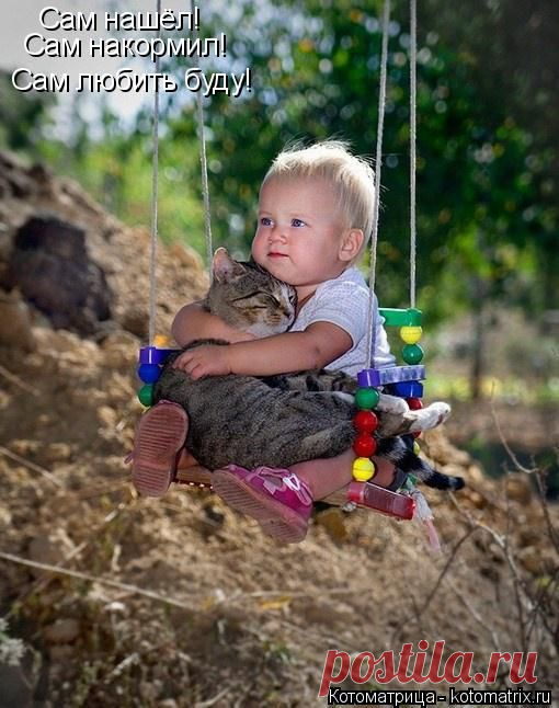 Котоматрица: Лучшие за прошлую неделю