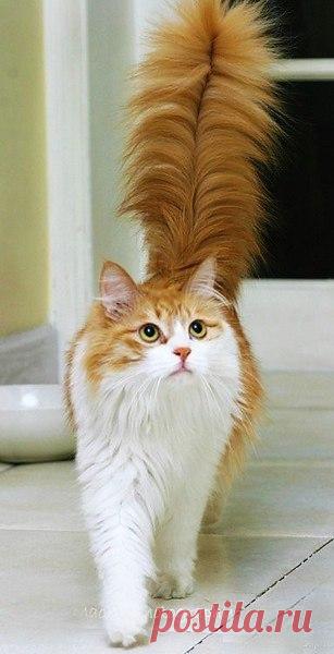 Интересные новости