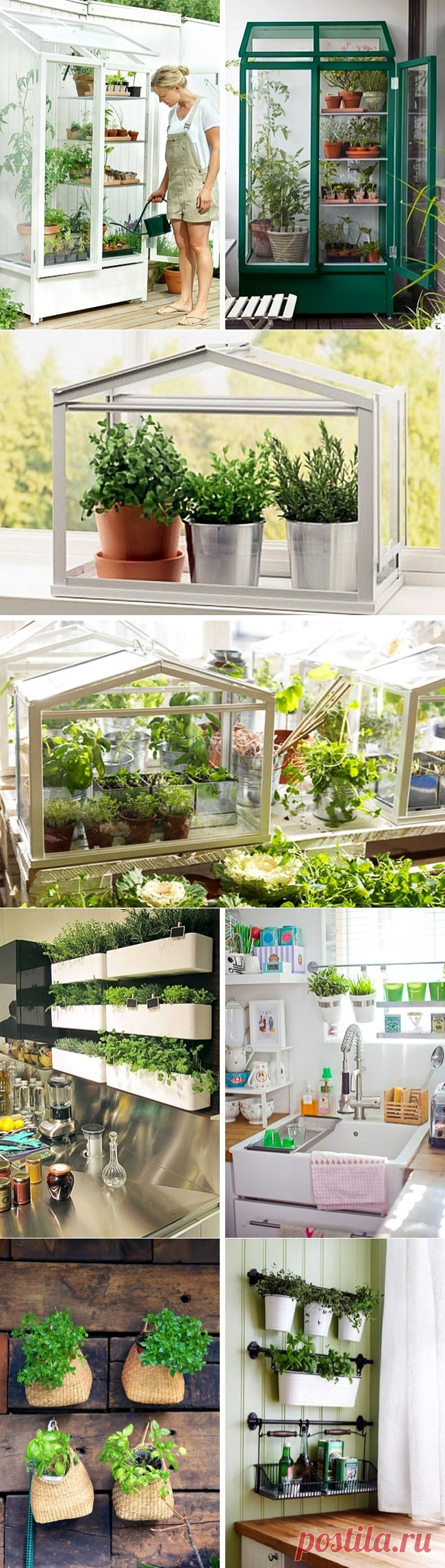 10 симпатичных идей для тех, кто мечтает о мини-огороде у себя на кухне