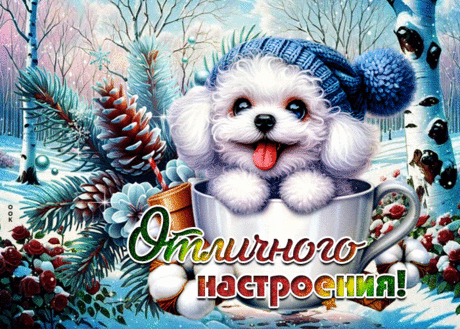 Эмоциональная гиф-открытка, отличного настроения тебе