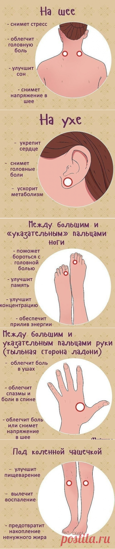 (48) Одноклассники