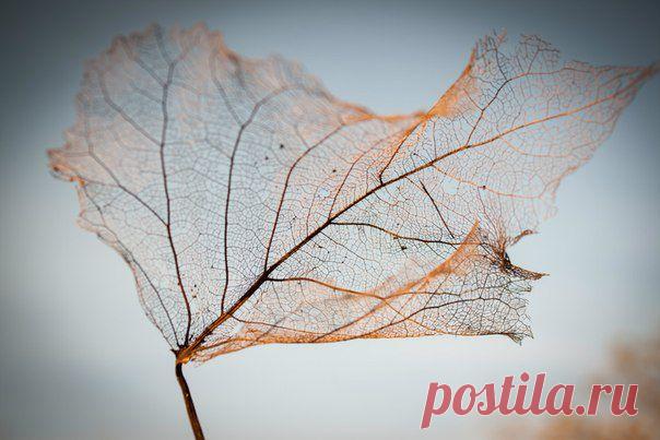 Прозрачность