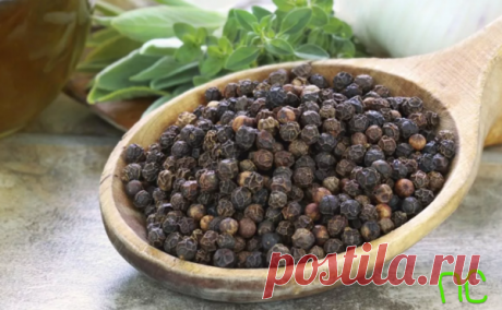 7 целительных свойств черного перца | Практичный советник | Яндекс Дзен