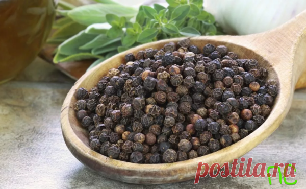 7 целительных свойств черного перца | Практичный советник | Яндекс Дзен
