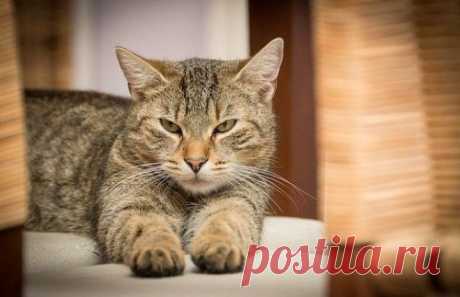10 невинных вещей, по которым можно узнать о вас всё