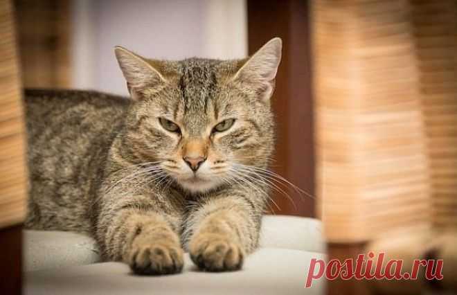 10 невинных вещей, по которым можно узнать о вас всё