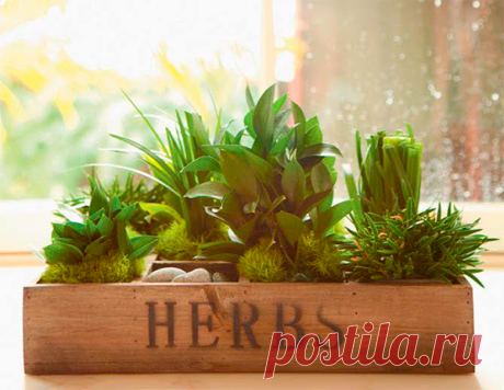 Как превратить свой дом в место покоя и силы | Смотрю & вижу | Яндекс Дзен