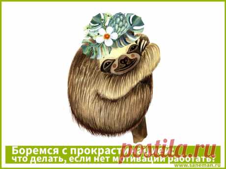 Боремся с прокрастинацией: что делать, если нет мотивации работать? Статья о прокрастинации и эффективных методах борьбы с этой привычкой.