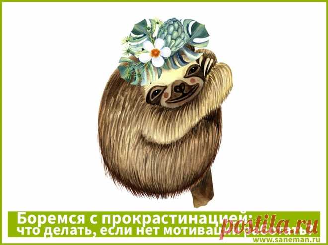 Боремся с прокрастинацией: что делать, если нет мотивации работать? Статья о прокрастинации и эффективных методах борьбы с этой привычкой.