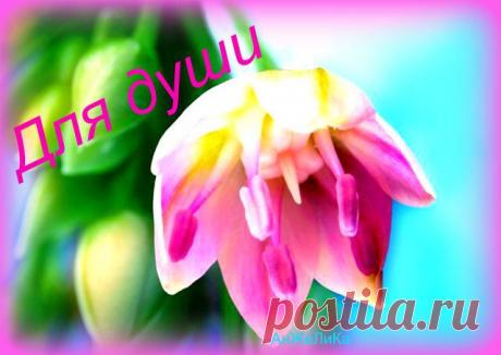 ~~~ ПОЗИТИВНАЯ КОМПАНИЯ ~~~