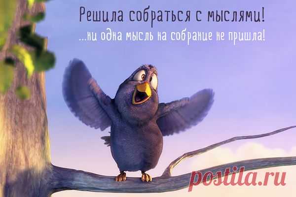 Карточки хорошего настроения – Фитнес для мозга