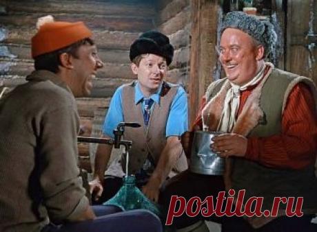 Уточнены правила домашнего виноделия и самогоноварения | юридические тонкости | Яндекс Дзен