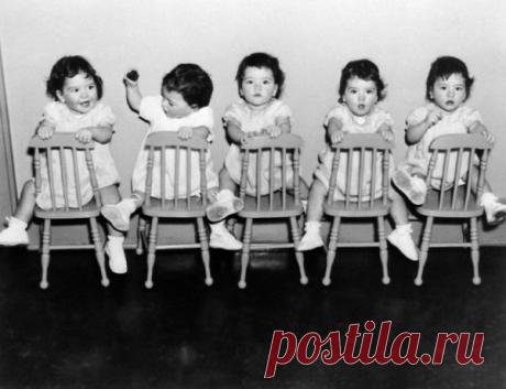 Трагическая судьба пятерняшек Дион | ВШоке.инфо - шокирующие новости, факты, юмор и многое другое!