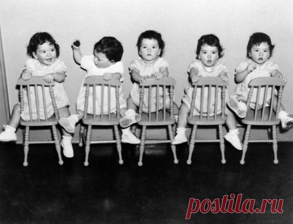 Трагическая судьба пятерняшек Дион | ВШоке.инфо - шокирующие новости, факты, юмор и многое другое!