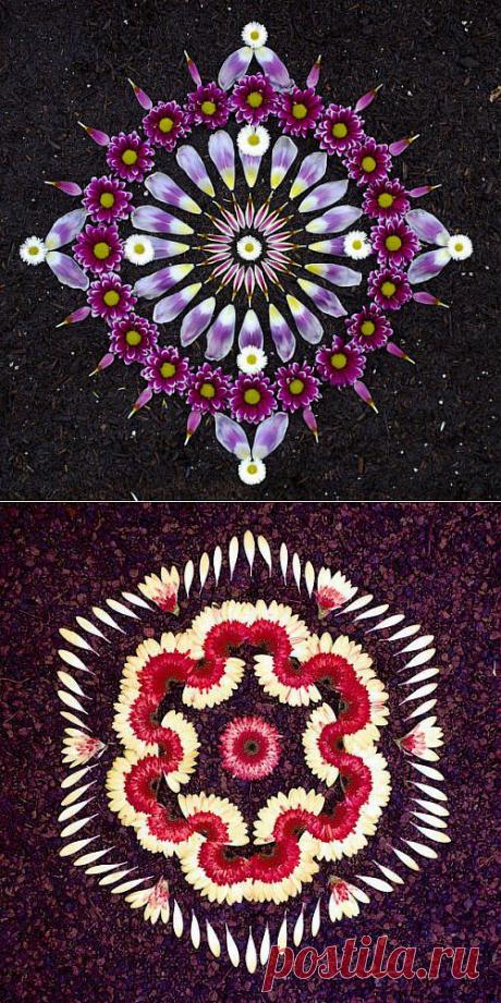 Немного о жизни и для жизни.: Цветочные мандалы Кэти Клейн