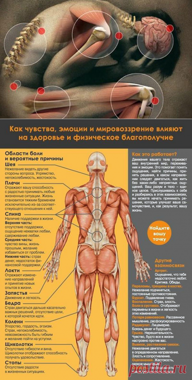 ЭМОЦИОНАЛЬНОЕ НАПРЯЖЕНИЕ И МЫШЕЧНЫЕ ЗАЖИМЫ | RANIBU.RU