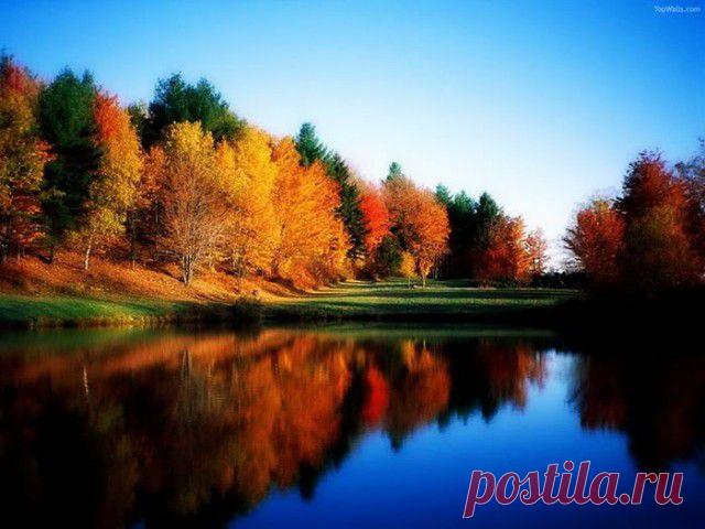 Великолепие и красота природы